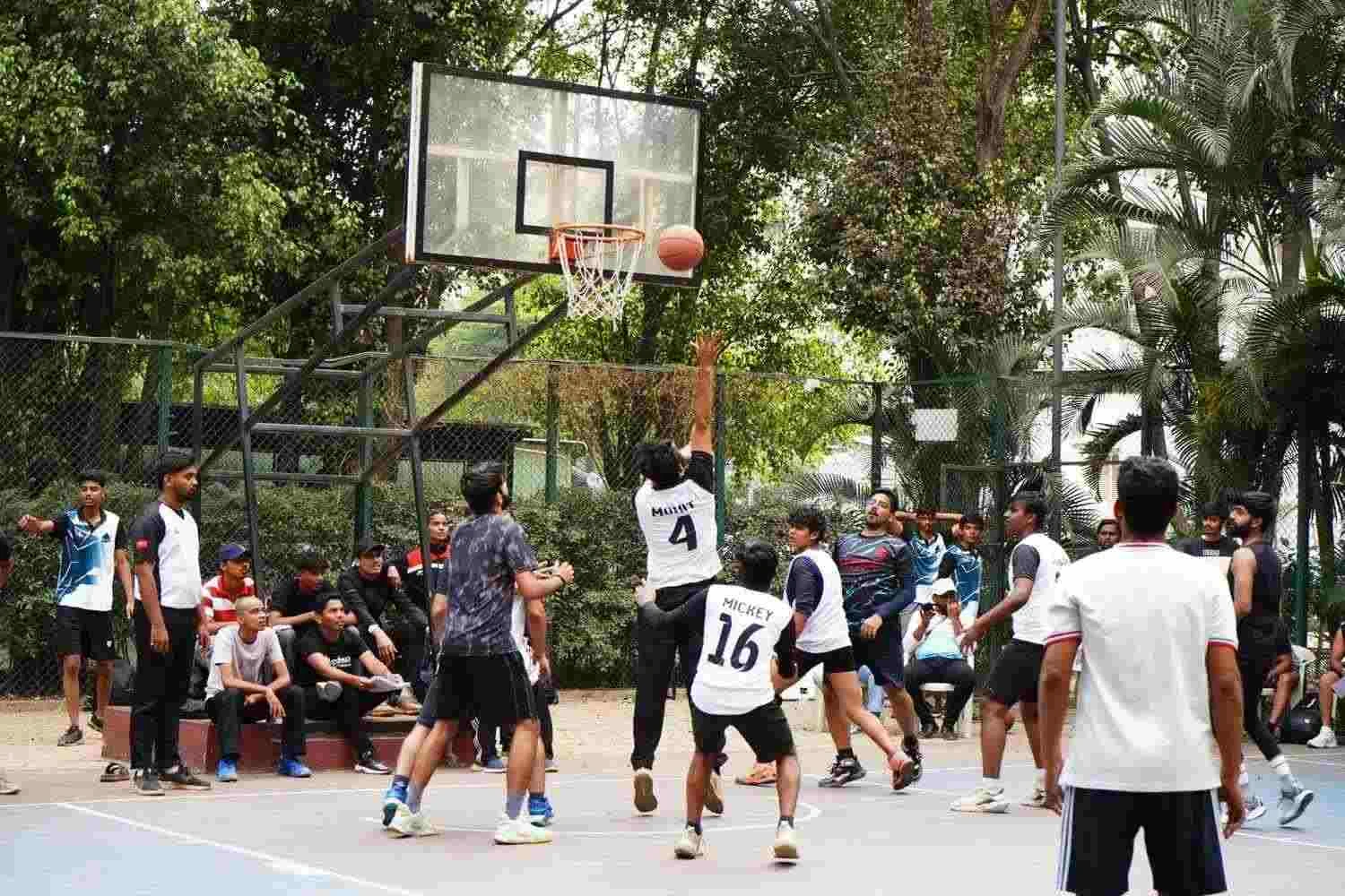 DPGU university activities